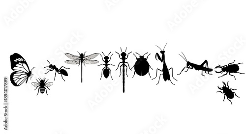 black silhouettes of ants