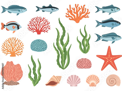 Assorted Ocean Creatures and Marine Life.
