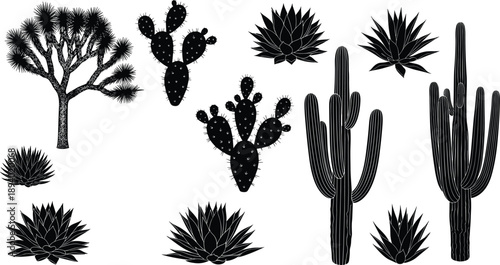 Desert cactus and plant silhouette set with agave yucca and succulents, black vector botanical illustrations isolated on white background
