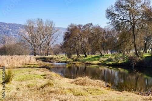 A peaceful scene of a river with trees and grass in the background