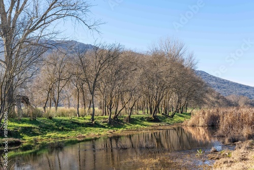 A river with trees on either side