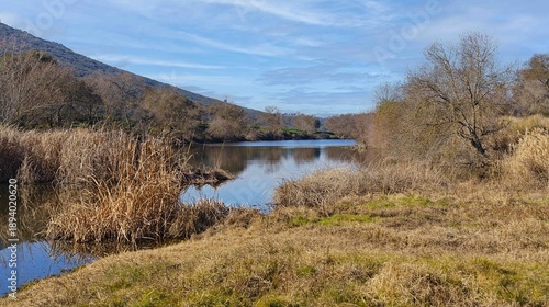 A river with a lot of weeds and trees on the banks