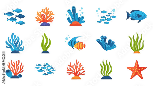 Colorful Ocean Creatures and Seaweed Illustrations.