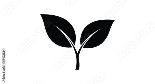 A striking black and white image depicts a young plant sprout with two rounded leaves and a central stem silhouette
