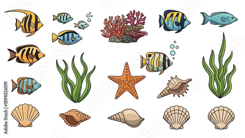 Collection of Various Ocean Creatures and Plants.