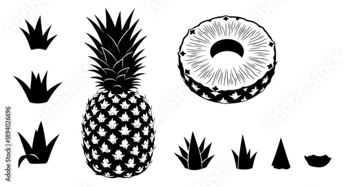 Pineapple illustration with various views and cut sections displayed in a graphic design layout