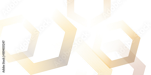 Elegant abstract background with golden lines forming geometric hexagons isolated on transparent background, Vector, illustration