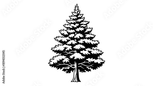 Evergreen Tree Vector Illustration, Stylized Pine Silhouette, Nature Graphic Element for Environmental Design and Seasonal Decor