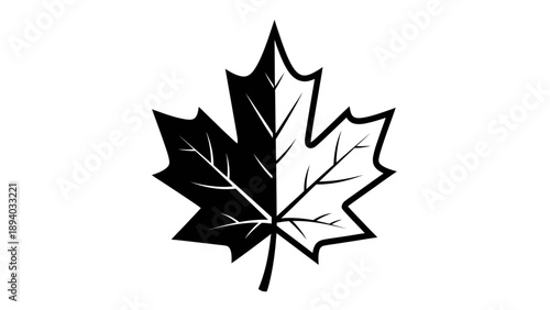 Half Black Half White Maple Leaf Vector Illustration Graphic Design Element Isolated on White Background for Canadian Themes