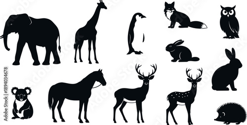Collection of black silhouettes of various wild animals on white background