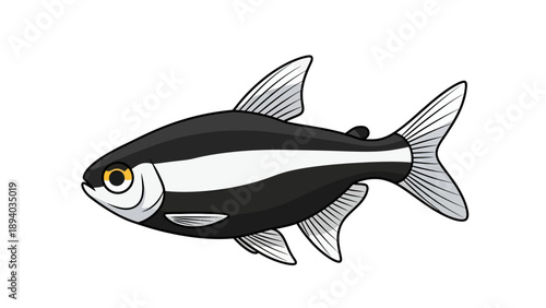 Neon Tetra Fish Vector Illustration Isolated on White Background for Aquarium and Pet Shop Graphics