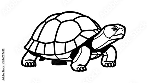 Turtle Vector Illustration, Simple Line Art Graphic, Wildlife Animal Icon, Nature and Education Symbol, Clean Design Element