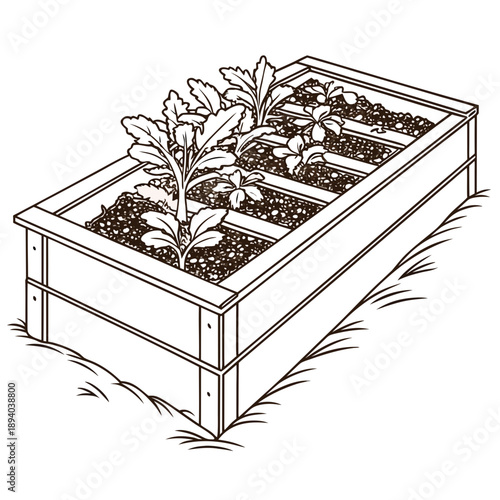 Raised garden bed with vegetables
