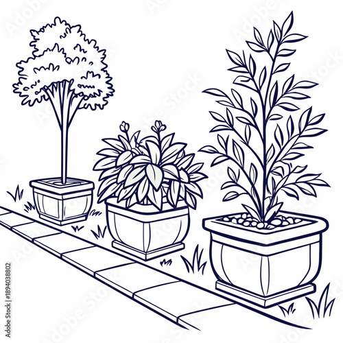 Three potted plants on a patio