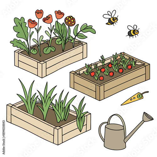Illustrated garden beds with vegetables and insects