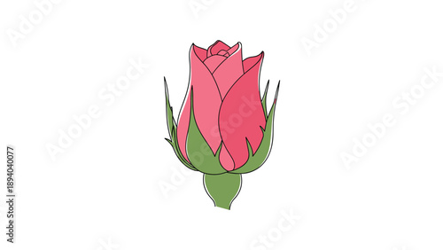 Delicate pink rosebud remains tightly closed within its green sepals representing the beginning of beauty and the arrival of spring in nature.