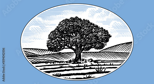 Beautiful rustic landscape with big old oak tree in the meadow. hills and fields for eco products, cheese, milk and other natural products. Hand drawn engraving in old pen and ink tequtique.