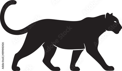 Black panther walking to the right side