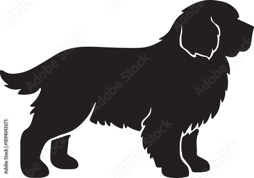 A striking silhouette of a fluffy long haired dog standing in profile