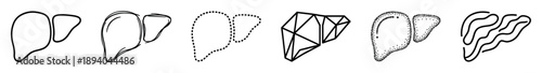 Collection of six human liver icons presented in diverse artistic styles like outline, sketch, dotted, low poly, stippled, and fluid lines for medical and health concepts