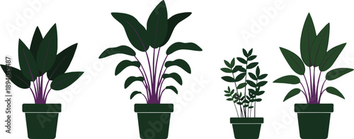 Set of indoor potted houseplants with decorative foliage isolated on white background, home greenery vector illustration