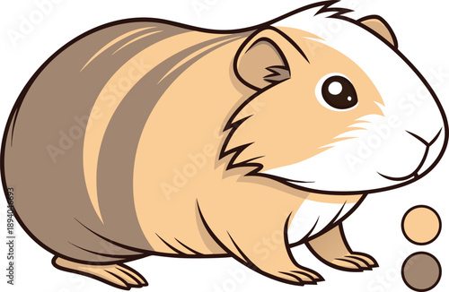 Guinea pig single animal illustration. Cute guinea pig animal illustration. Guinea pig pet animal design. Small guinea pig animal illustration. Guinea pig isolated animal design. Domestic guinea pig