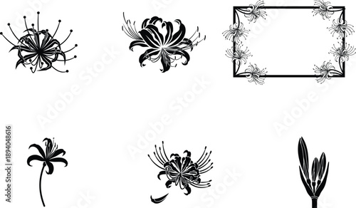 Collection of various black floral designs and a frame on white background