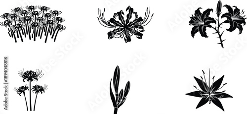 Collection of various black silhouette flowers and lily plants