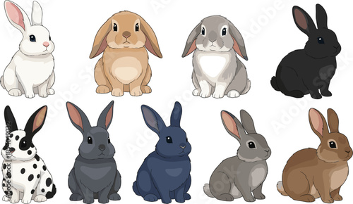 Cute Bunny Rabbit Breed Vector Illustration Set Featuring Various Fur Colors and Ear Shapes for Pet Care Easter Graphics and Animal Lover Design Projects