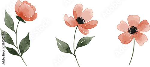 Watercolor painting of three pink flowers with green leaves on white background