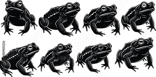 Stylized frog illustrations in black and white, sitting pose, symmetrical arrangement, artistic texture, biological design, nature concept, flat vector