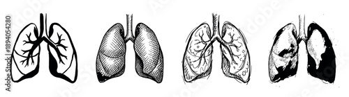 Four hand-drawn human lungs illustrations in a set showing different artistic styles like simple outline, crosshatching, sketchy line art, and grunge inkblot designs