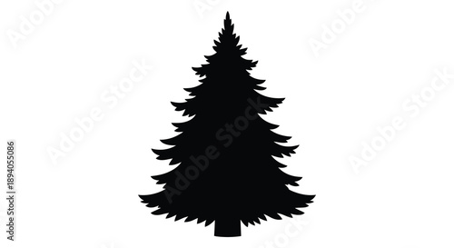 A stark black silhouette of a coniferous evergreen tree stands prominently against a clean white background silhouette high quality professional