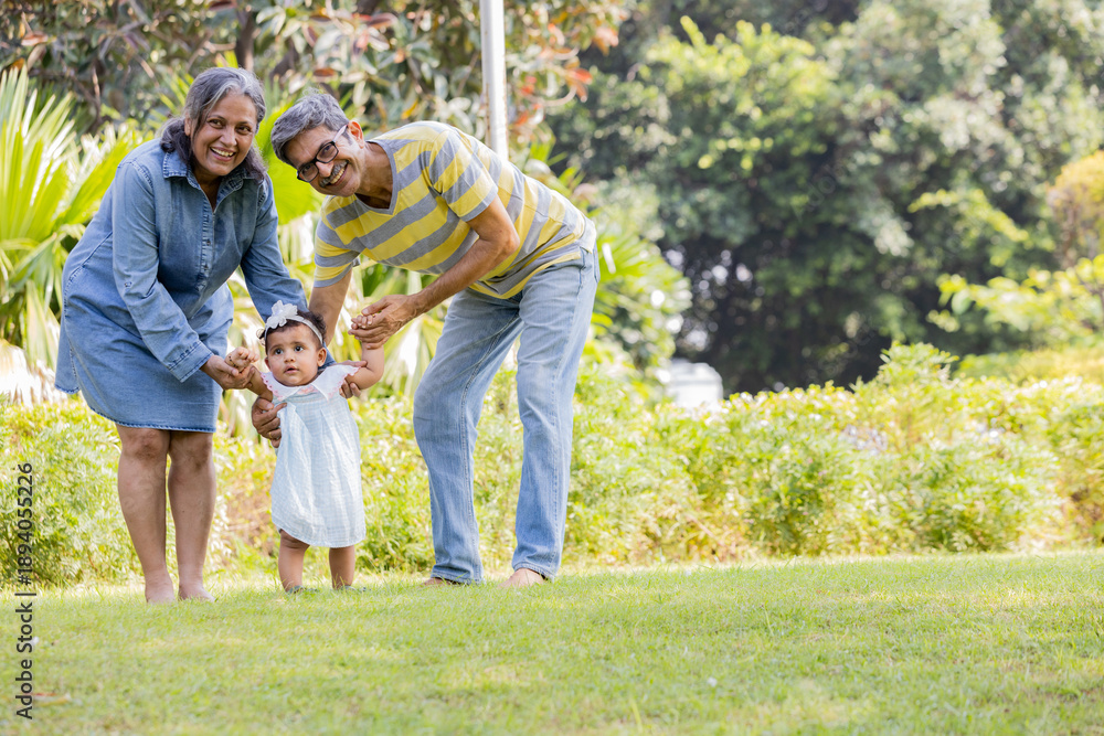 Fototapeta premium Indian Grandparents Helping Baby Take First Steps in Garden