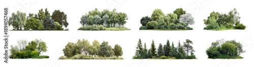 Panel kuchenny z motywem PNG Lush green forest landscapes element set on transparent background
