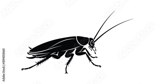 A stark black silhouette depicts a detailed cockroach showcasing its anatomy and form against a white background silhouette high quality