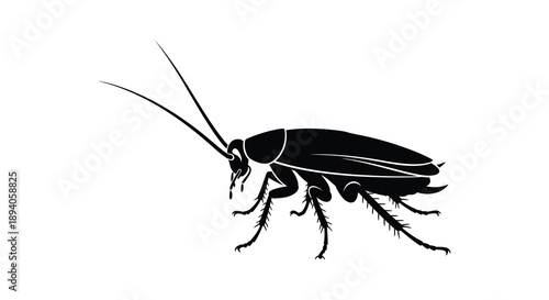 A striking black silhouette depicts a detailed cockroach showcasing its anatomy and form with stark contrast silhouette high quality professional
