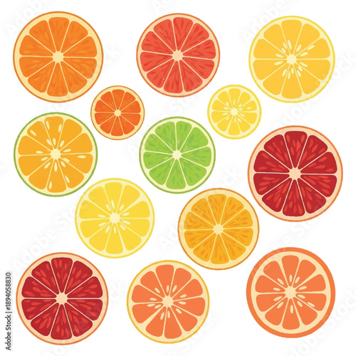 Colorful Cluster of 13 Citrus Fruit Slices in Vibrant Digital Arrangement