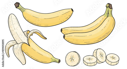 Digital Illustration of Bananas in Various Ripe Stages and Slices Divided into Five Sections