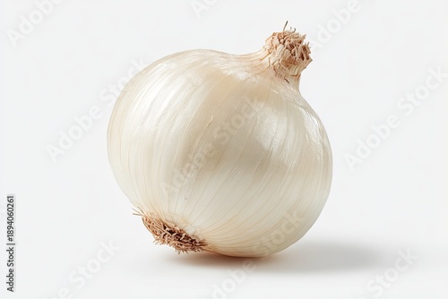 Close-up of a single, whole, white onion with layered skin and textured root end, on white