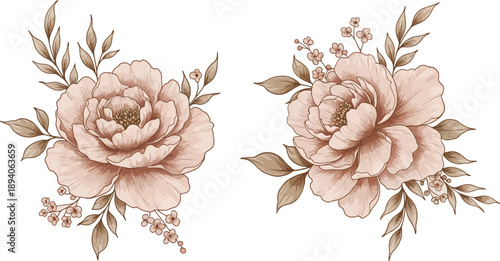 Two large pink roses with green leaves and stems on white background