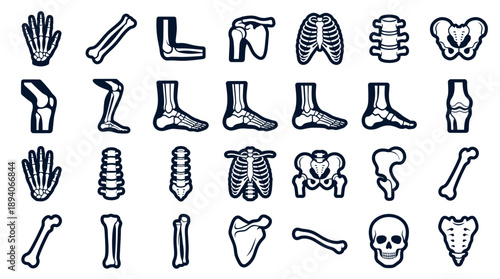 Flat Human Skeleton Anatomy Icon Set Isolated on White Background