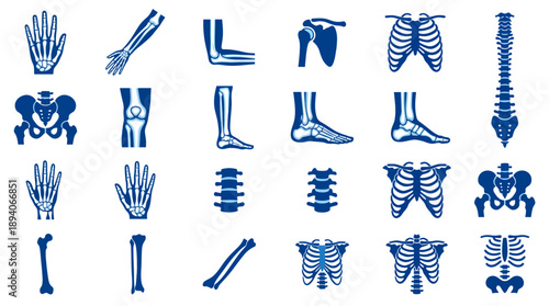Outline Human Skeleton Anatomy Line Icons Isolated on White