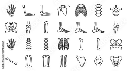 Solid Filled Human Bone Anatomy Medical Icons on White Background