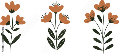 Three orange flowers with green stems and leaves on white background