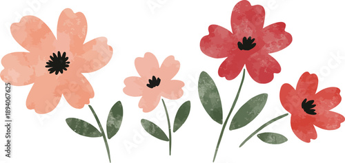 Watercolor illustration of pink and red flowers on white background