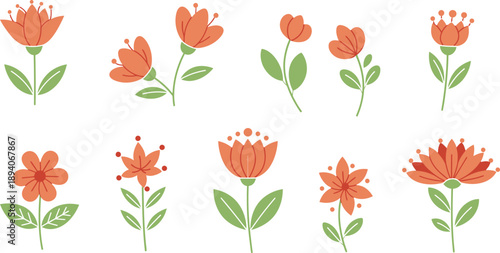 Collection of orange tulips and lilies in various stages of bloom and growth