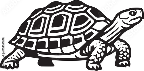 Multi-Style Graphic Collection Featuring Stylized Tortoise and Cat Scientist Logos, Muscular Smartphone Mascots, and Romantic Valentine’s Day Gift Stationery.