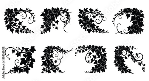Black ivy vine corner borders with curling tendrils and swirling leaf patterns