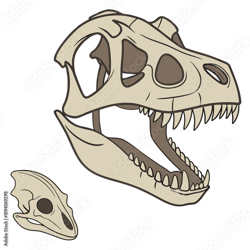 Of two beige dinosaur jawbones with sharp teeth fossil